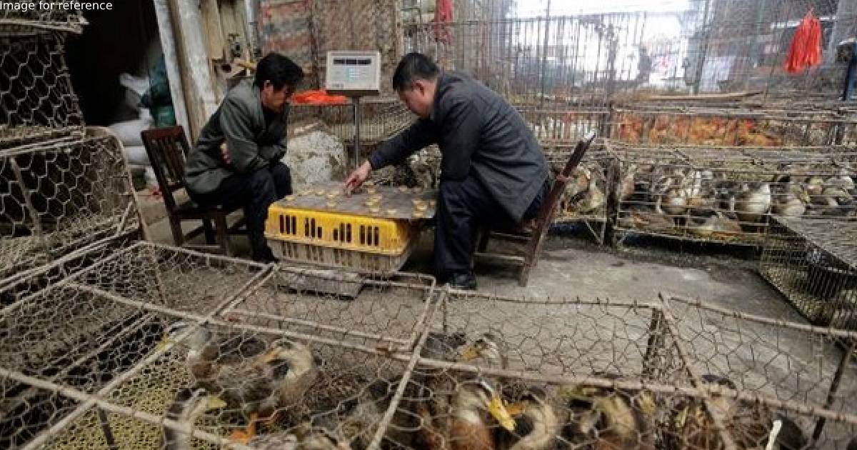 China's Wuhan seafood market likely cause of Covid-19 outbreak: New studies in journal 'Science'